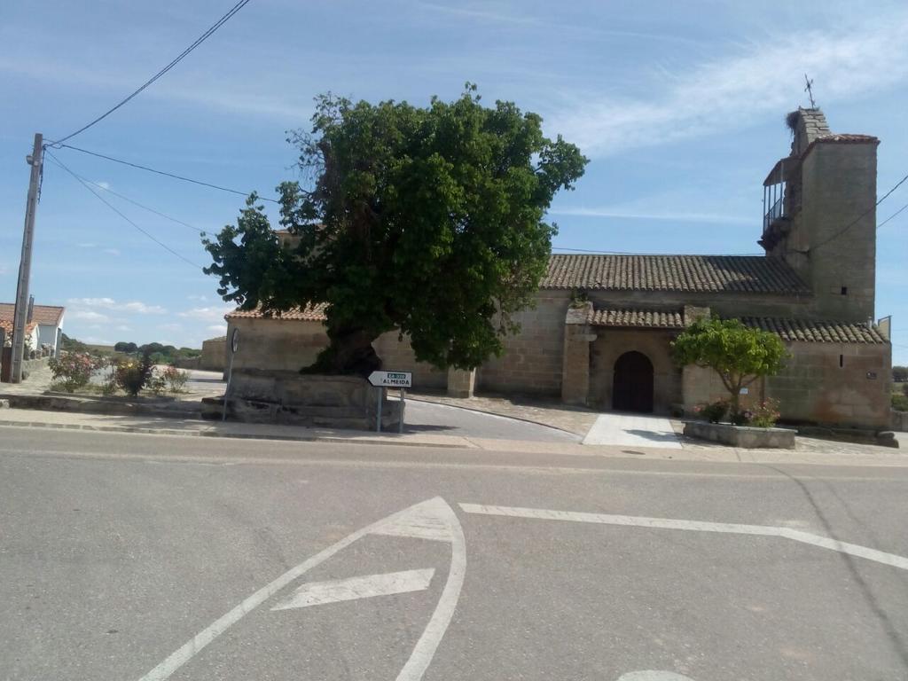Pension El Abuelo Carbellino Exterior foto